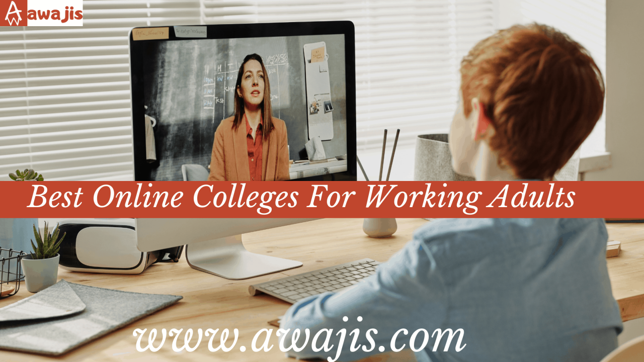 What are the best online education degree programs for working professionals?