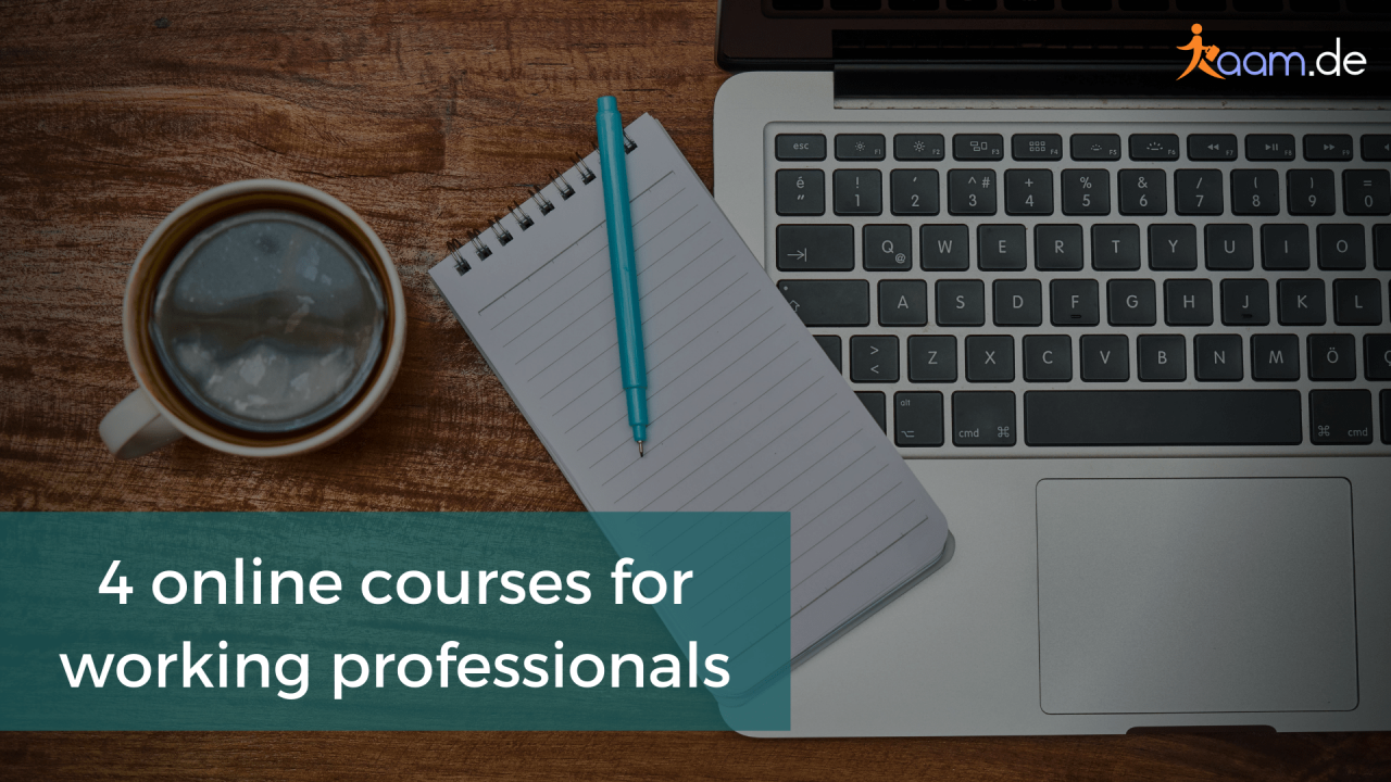 What are the best online education degree programs for working professionals?