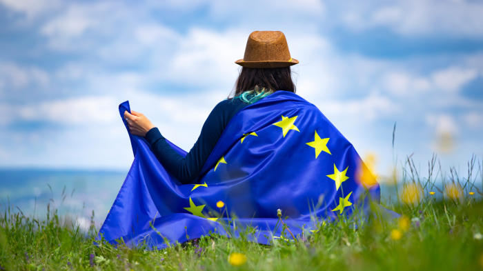 Master agreement european eu ebf Master eu