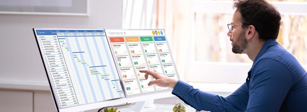 Master project manager online